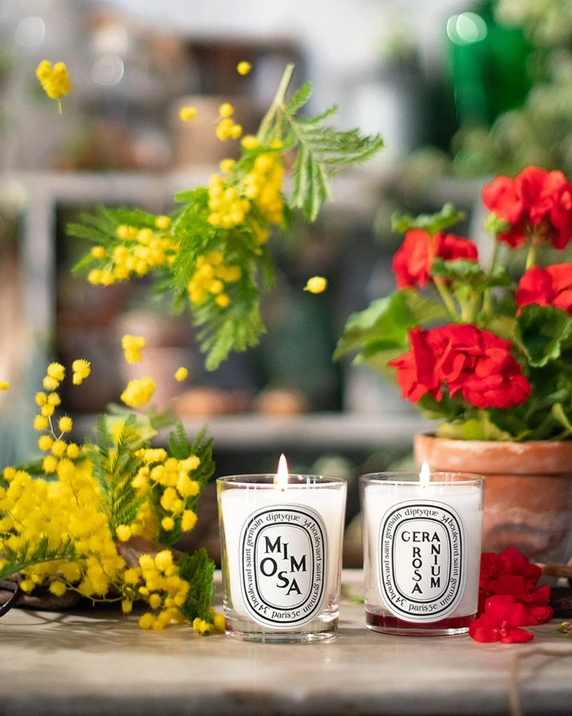 Diptyque Mimosa Scented Candle, 6.5 oz. 4