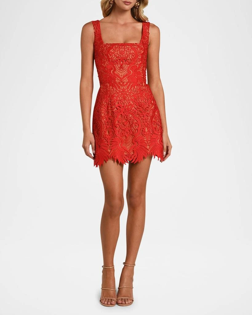 HELSI Belen Lace Mini Dress - Dresses & Skirts - Compare Prices from 4+  Stores - Free Shipping - BeyondStyle