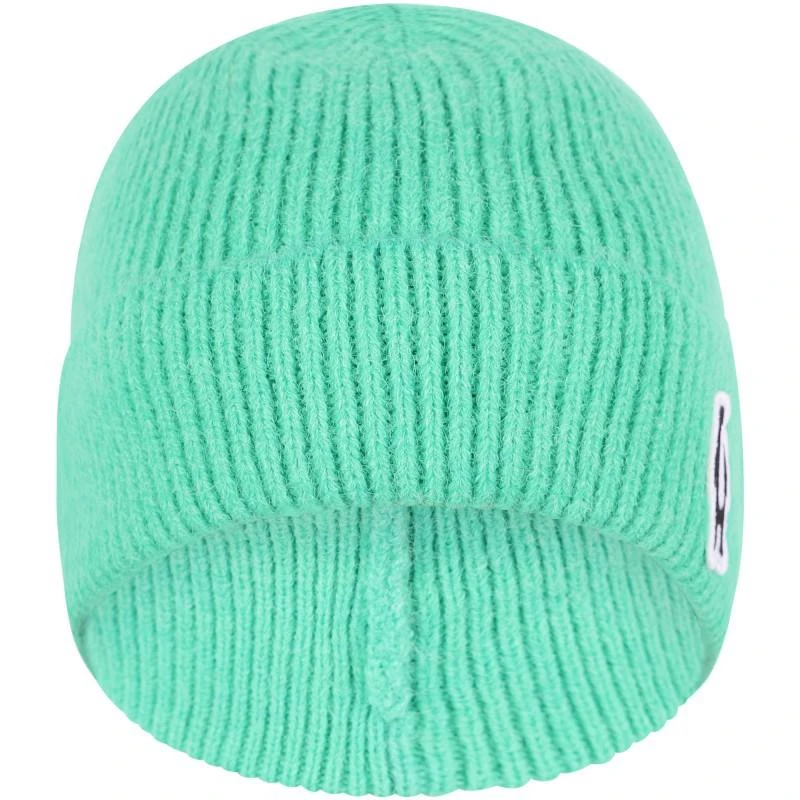 Gosoaky Penguin logo winter hat in teal 2