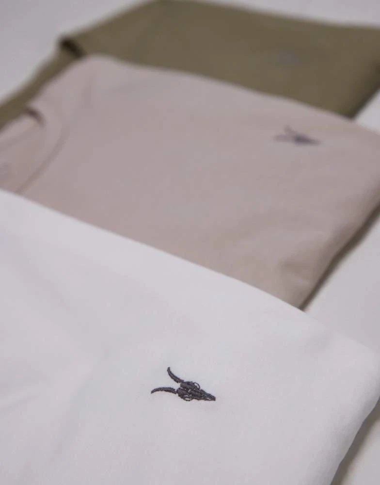 ALL SAINTS AllSaints Tonic crew t-shirt 3-pack in white brown green 2