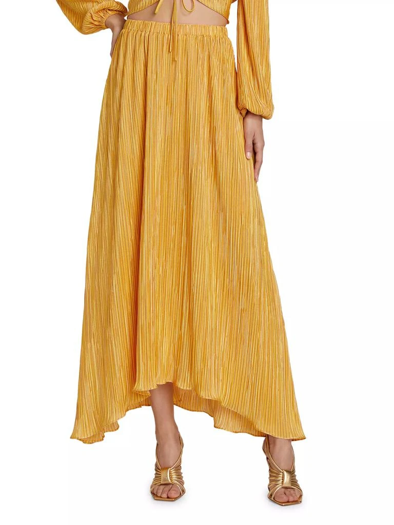 Ramy Brook Gwendolyn Pleated Maxi Skirt 3
