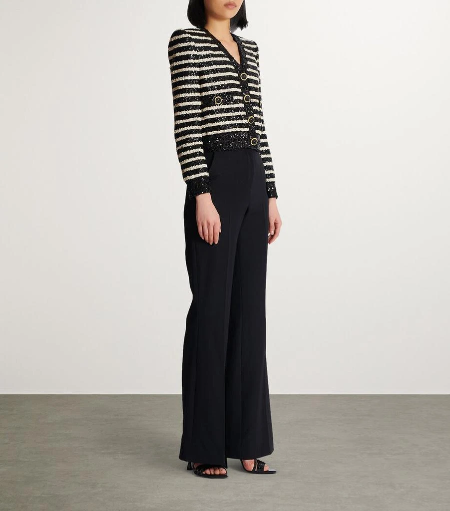 Balmain Sequin Stripe Jacket 2