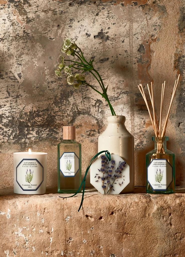 Carriere Freres Botanical palets Lavender - Lavandula Angustifolia 0,55 g x2 4