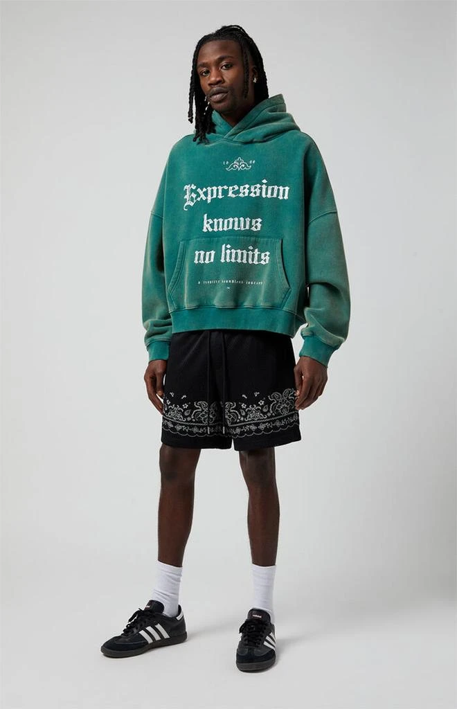 PacSun Black Aaron Paisley Embroidered Mesh Volley Shorts 2