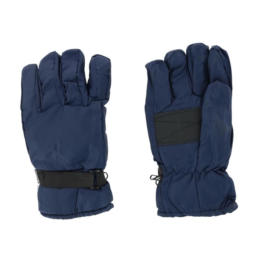 Iceberg Polar Wear Men's Thermal Lined Solid Color Winter Ski Glove
