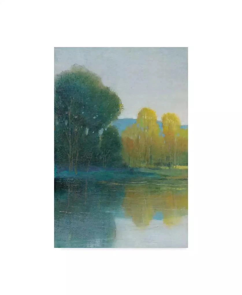 Trademark Global Tim Otoole Last Light I Canvas Art - 20" x 25"