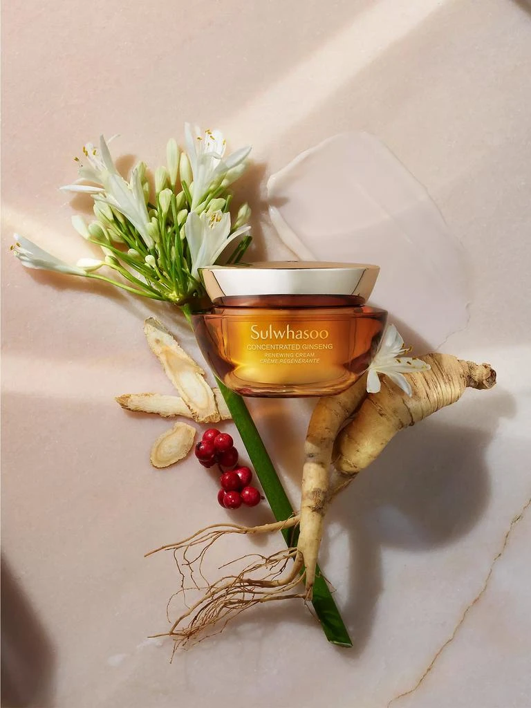 Sulwhasoo Concentrated Ginseng Renewing Cream 6