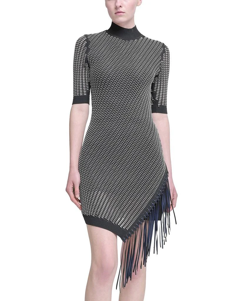 SIMKHAI Orla Fringed Mini Dress 1