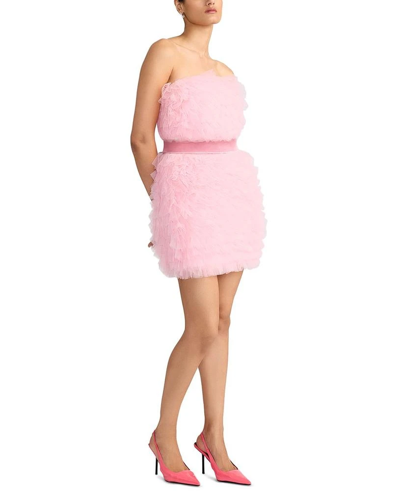 Zac Posen Wicked x Zac Posen Textured Tulle Mini Dress 3