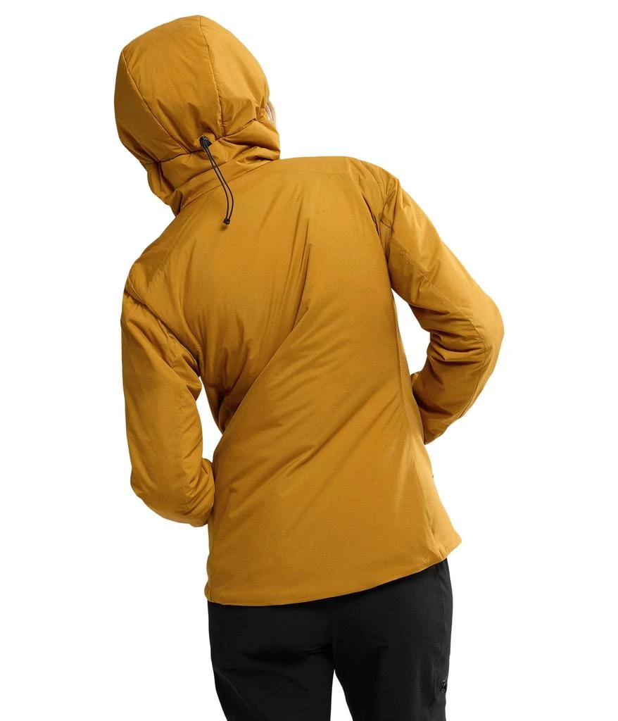 Arc'teryx Atom Hoody 2