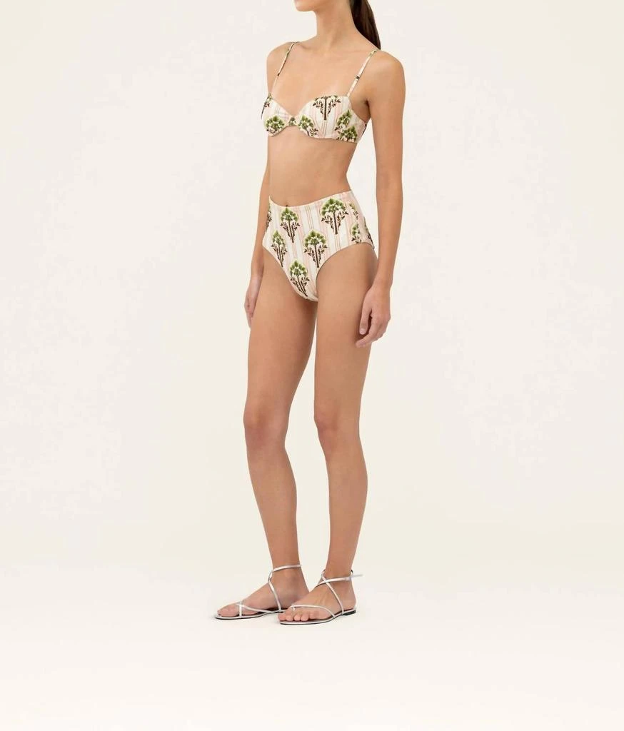 Agua by Agua Bendita Agua By Agua Bendita - Magdalena Moriche Palm Embroidered Printed Bikini Top 3