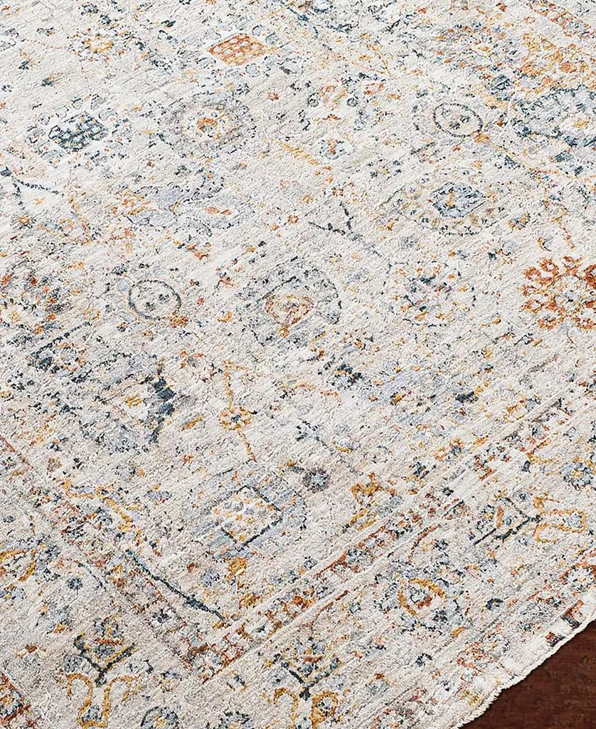 Surya Laila LAA-2317 5
x7
5 Area Rug 4