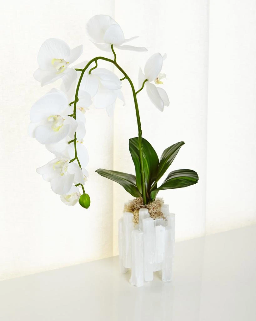 John Richard Real Touch Selenite Orchid Faux Floral Arrangement 1