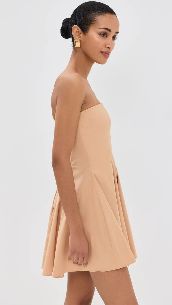 Azeeza Sable Mini Dress 3
