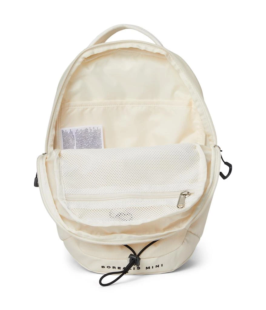 The North Face Borealis Mini Backpack 3