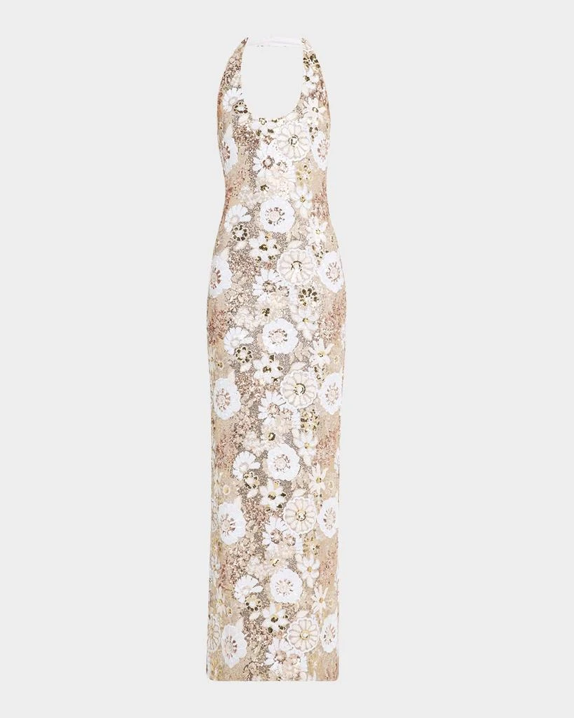 Ramy Brook Tiffany Floral Sequin Halter Column Gown - Dresses & Skirts -  Compare Prices from 8+ Stores - Free Shipping - BeyondStyle