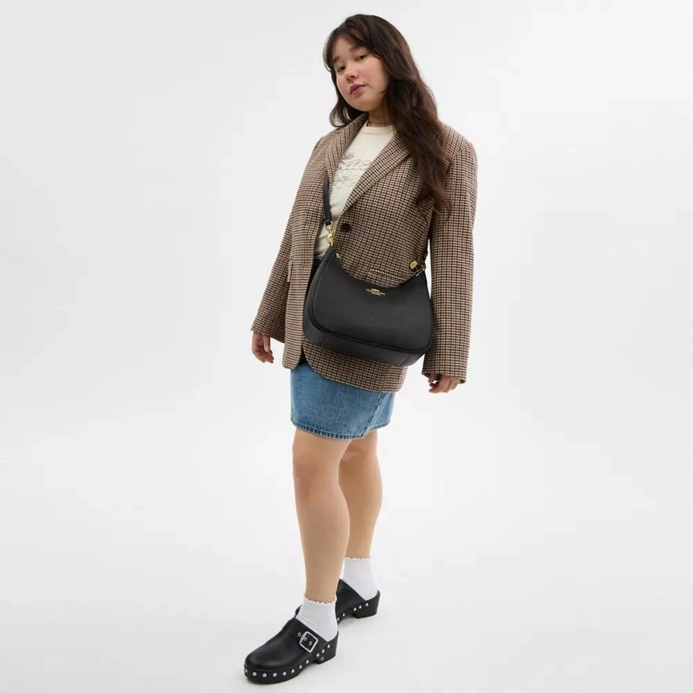 Coach Teri Hobo Bag 4