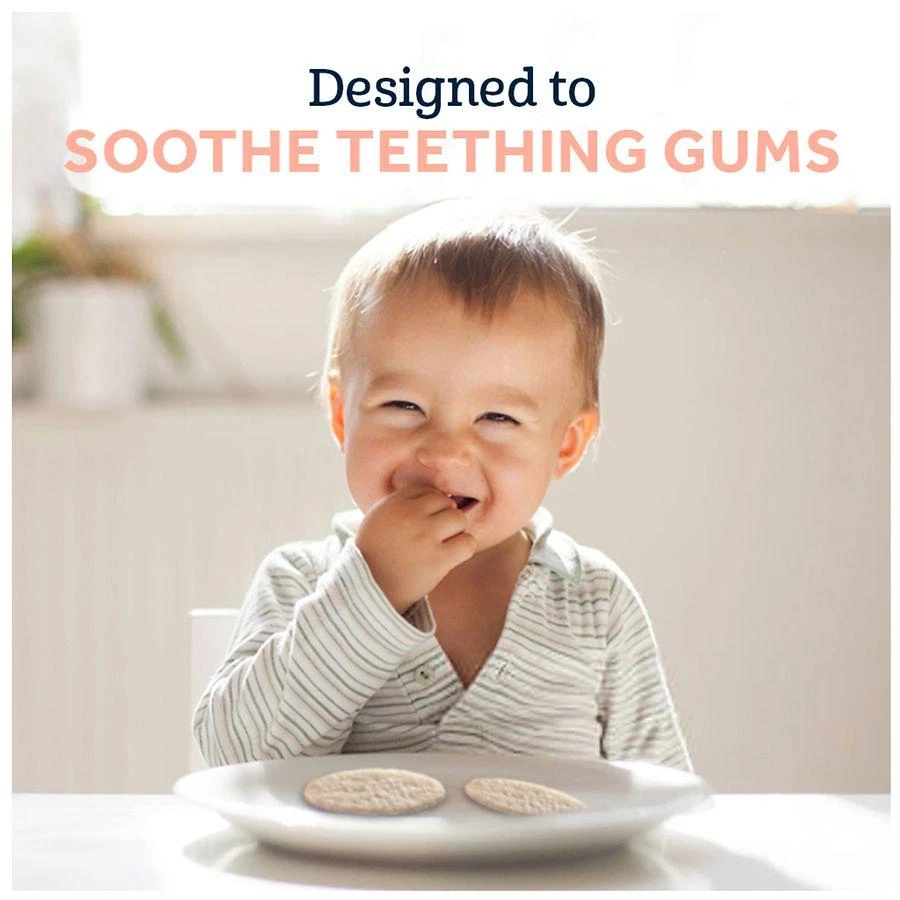 Gerber Teethers Organic Baby Snacks Mango Banana Carrot 8