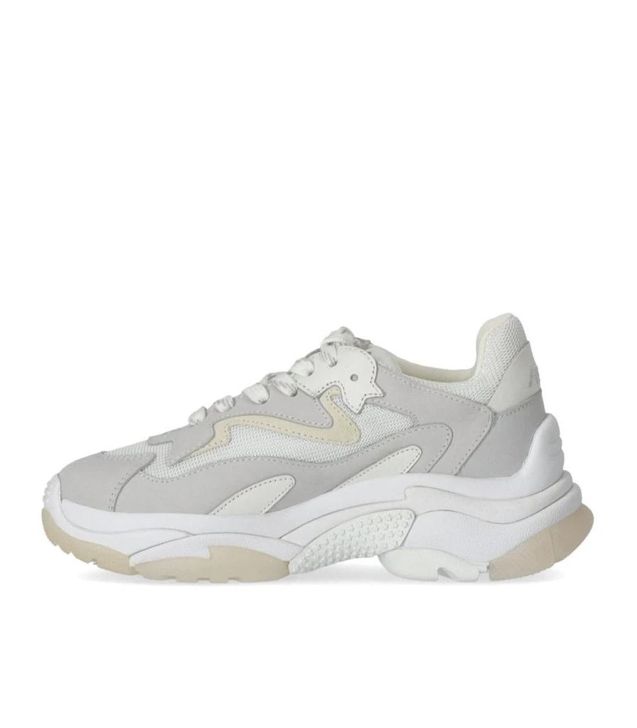 Ash Ash Addict White Sneaker 3