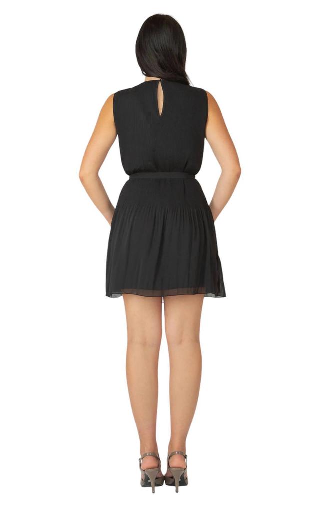 Dex Dex - Pleated Mini Dress