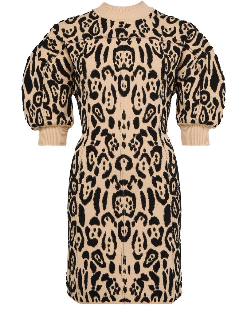 Max Mara Dolmen printed dress