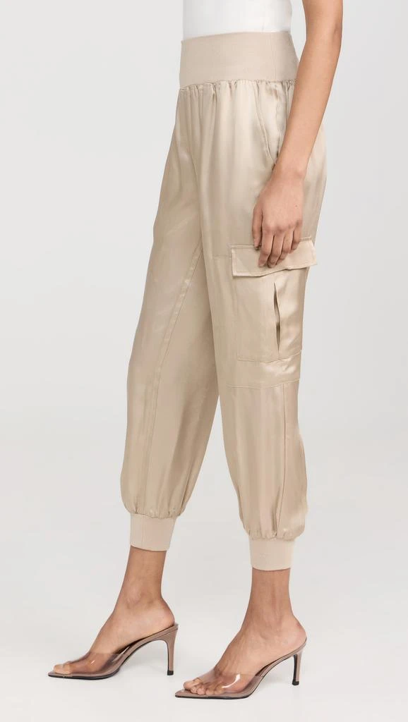 Cinq  Sept Giles Pants 3