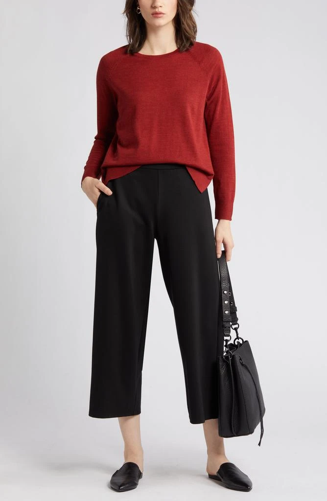 Eileen Fisher Raglan Sleeve Merino Wool Pullover 7