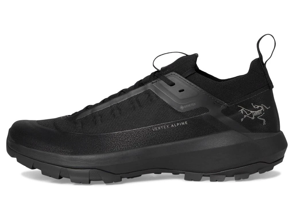 Arc'teryx Vertex Alpine GTX 3