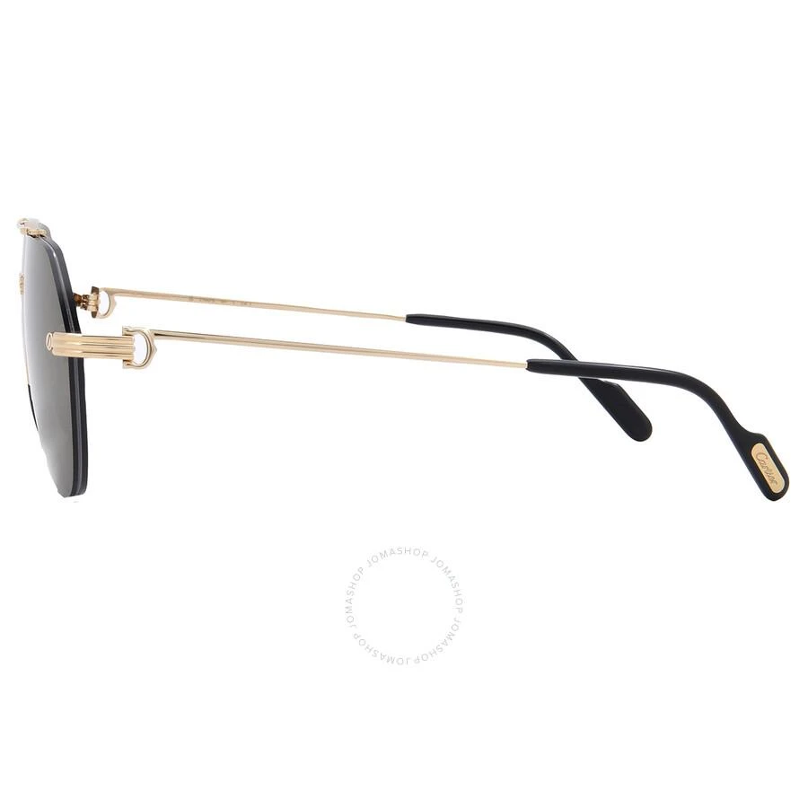 Cartier Cartier Premiere de Cartier Grey Multitreatment Pilot Men's Sunglasses CT0427S 001 58 3