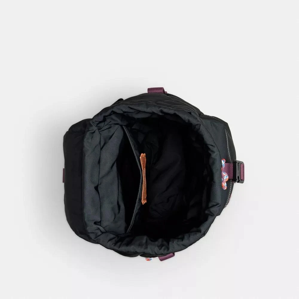 Coach Coachtopia Loop Mini Backpack 4