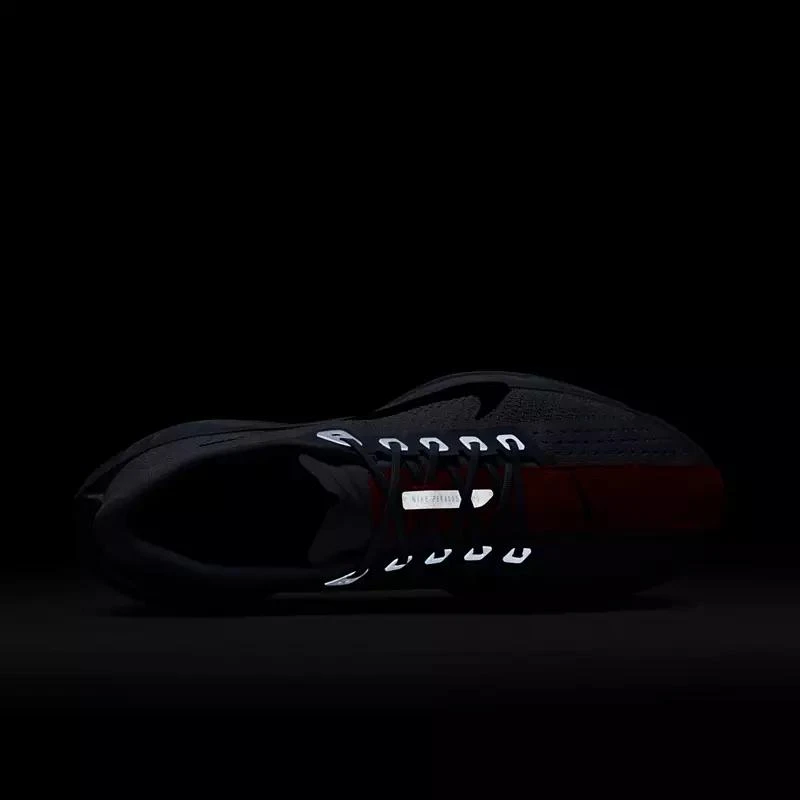 NIKE Nike Men
s Pegasus Plus Running Shoes 9