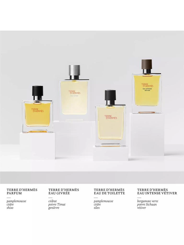 Hermes Terre D'Hermès Eau Intense Vetiver 3