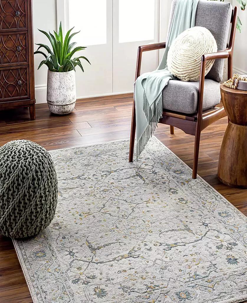 Surya Dresden DRE-2309 2'7" x 4' Area Rug 6