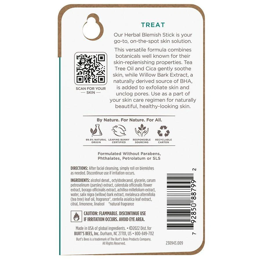 Burt's Bees Clear and Balanced Herbal Blemish Stick 2