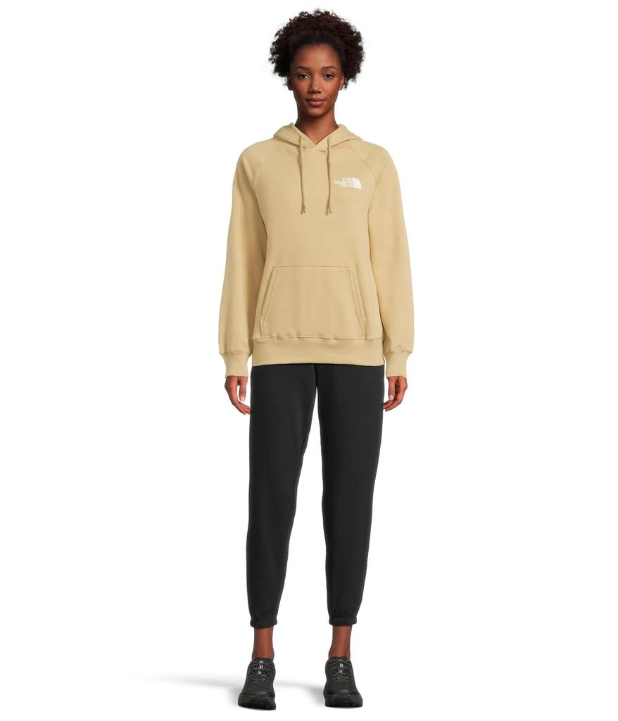 The North Face Box NSE Pullover Hoodie 5