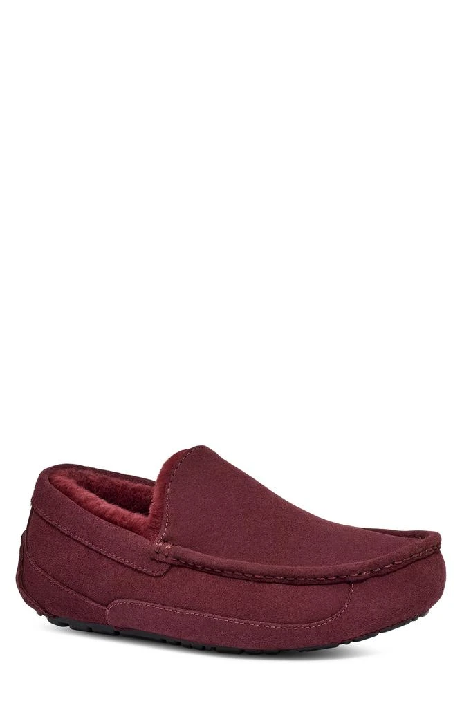 UGG Ascot Slipper 1