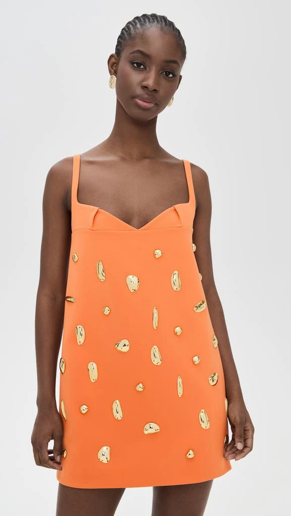 Alexis Larsen Dress 7