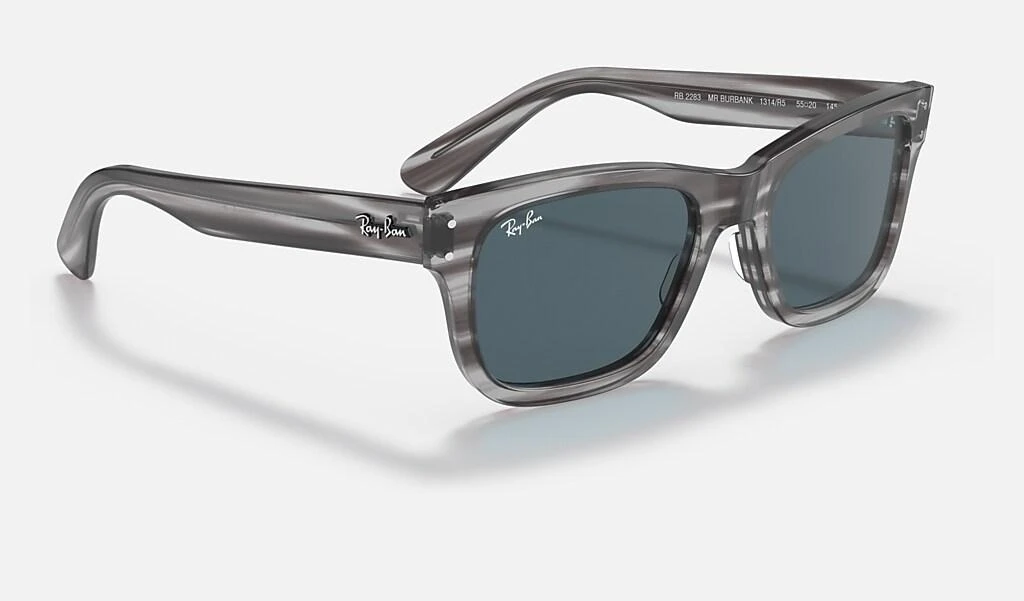 Ray-Ban BURBANK 6