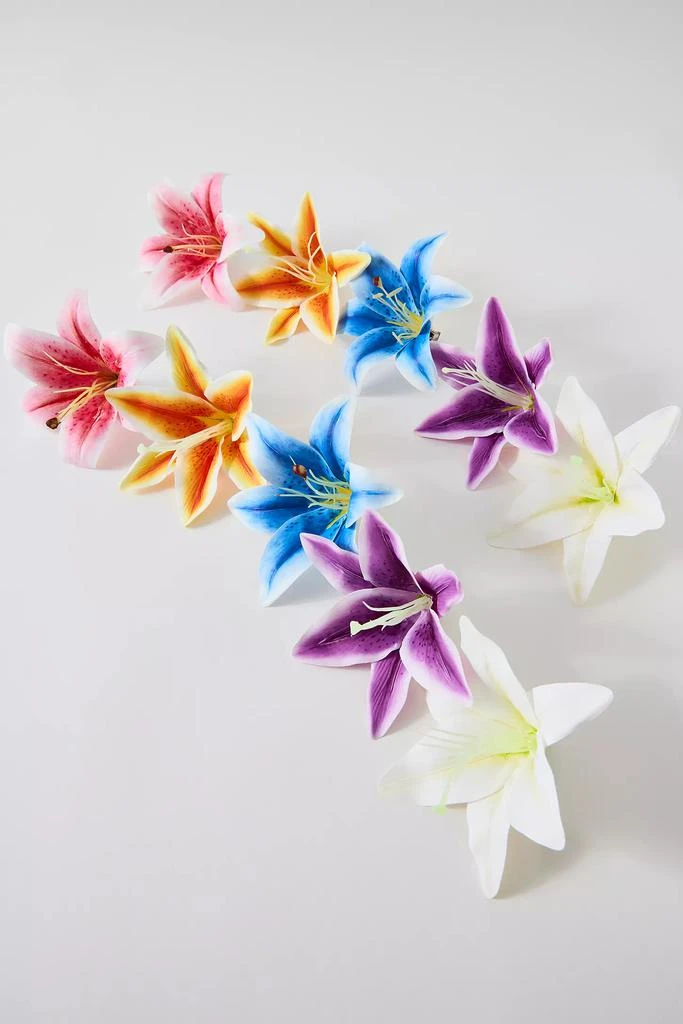 Urban Outfitters Lily Extra Large Flower Hair Clip Set