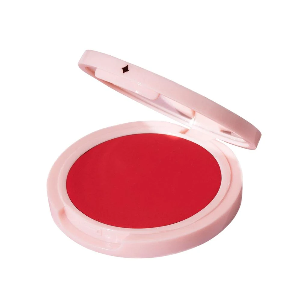 Jillian Dempsey Cheek Tint 9