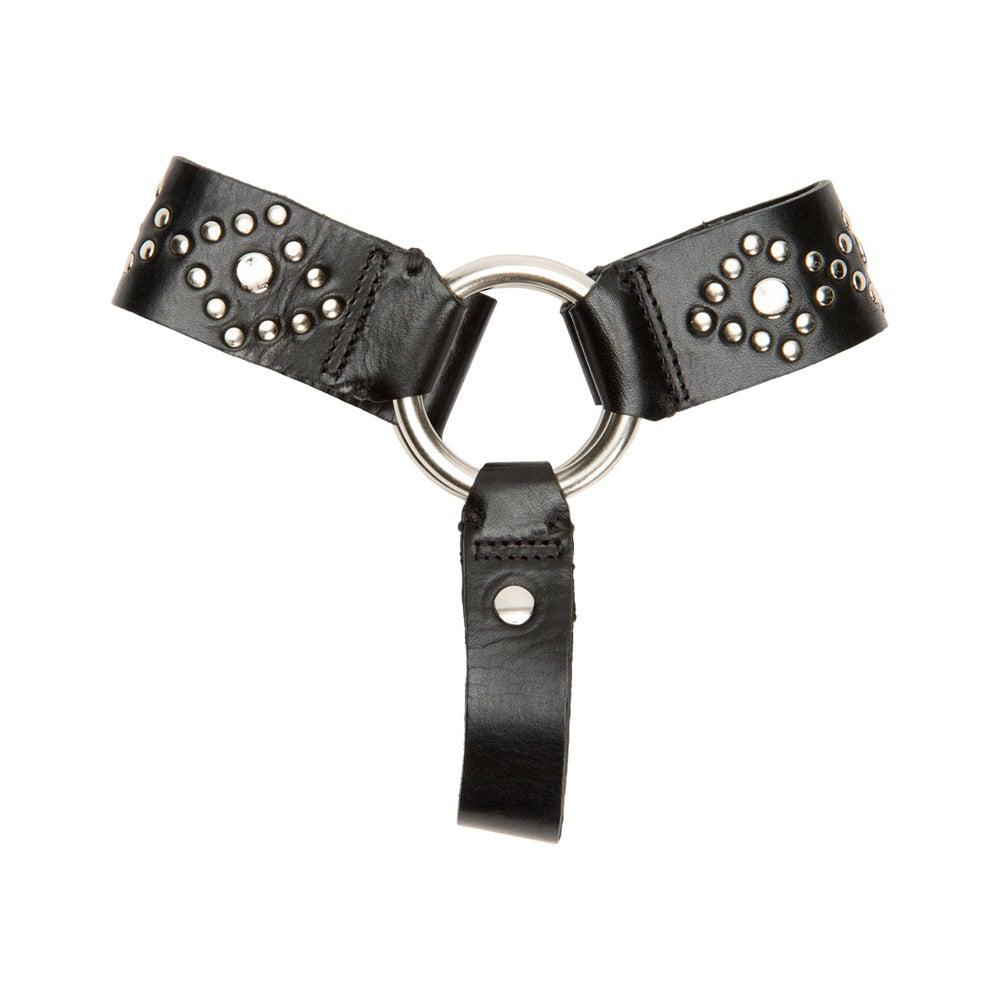 Frye Removable Studded Harness