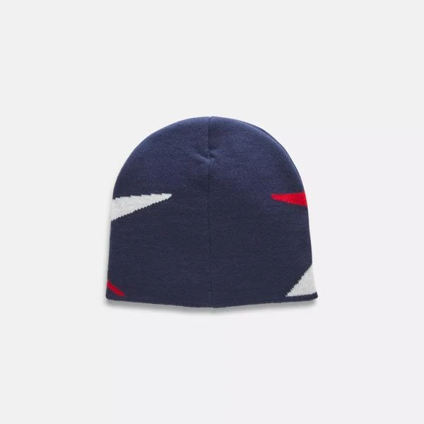 Reebok Icon Logo Beanie 2