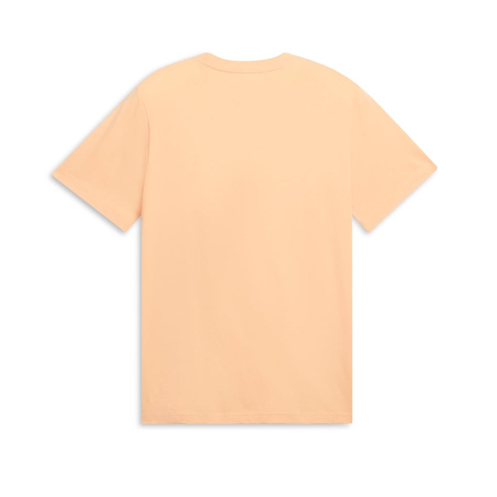 Puma PUMA Men's GRAPHICS Varsity Tee