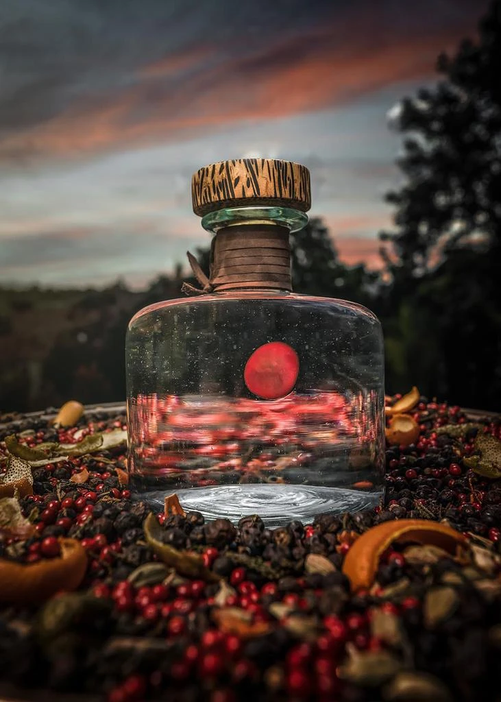 PROCERA GIN Red Dot 2023 2