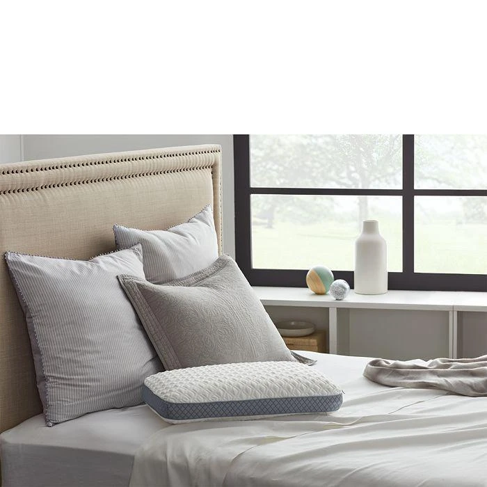 Sealy Memory Foam Pillow with Gusset, Standard 5