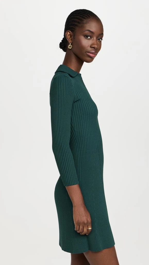Shoshanna Robin Dress 3