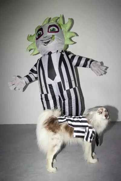 Urban Outfitters Beetlejuice Inflatable Halloween Costume 3