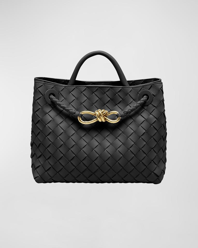 【BOTTEGA VENETA】Andiamo スエード スモール トートバッグ Bottega Veneta Small Andiamo Suede Tote Bag | Neiman Marcus