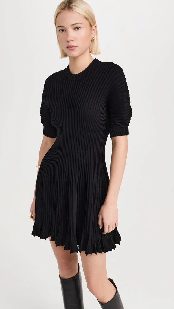 Ulla Johnson Talie Dress 1