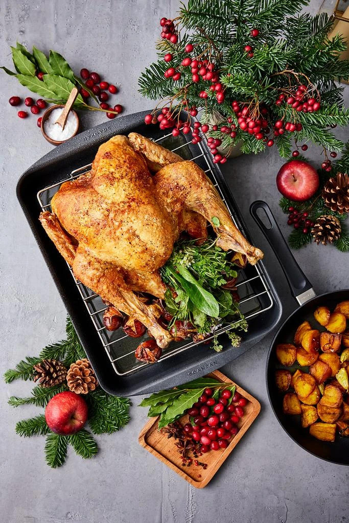 Scanpan Classic 17.5" x 12.5" Roasting Pan, 8.25 Qt. 6